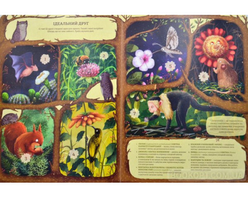 Незвичайна дружба у світі рослин і тварин