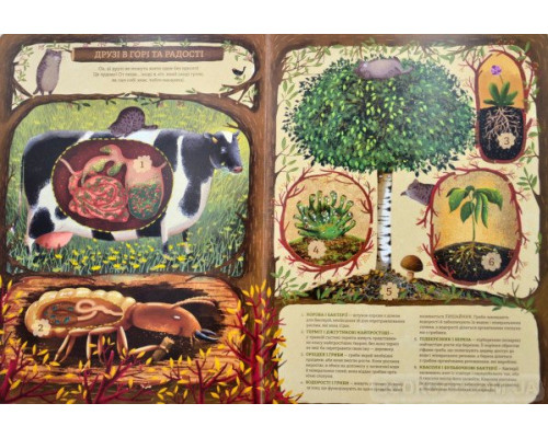 Незвичайна дружба у світі рослин і тварин