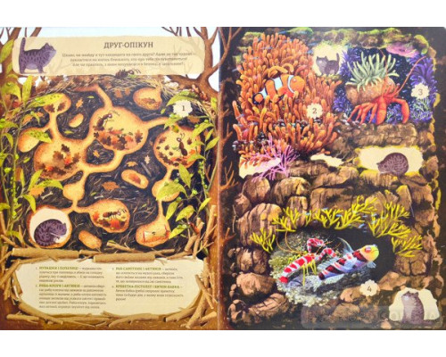 Незвичайна дружба у світі рослин і тварин