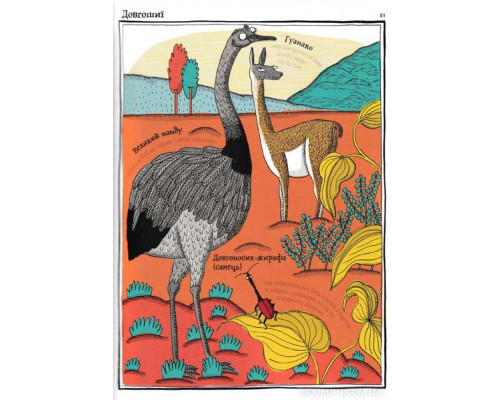 Тваринопедія. Зібрання найдивовижніших створінь на землі