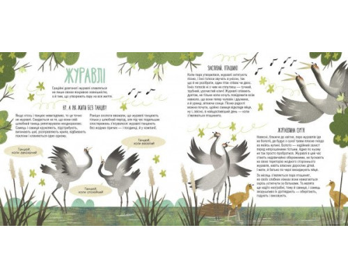 Тато, мама, я — твариняча сім’я