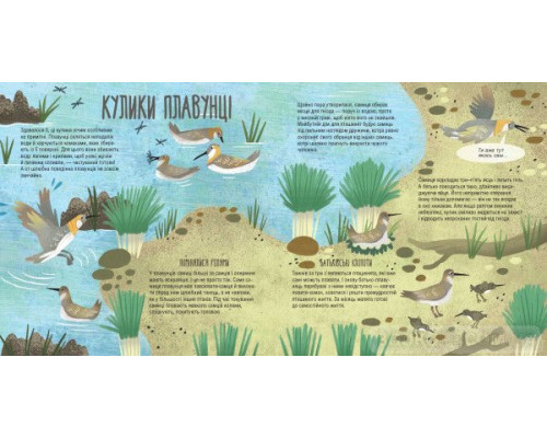 Тато, мама, я — твариняча сім’я