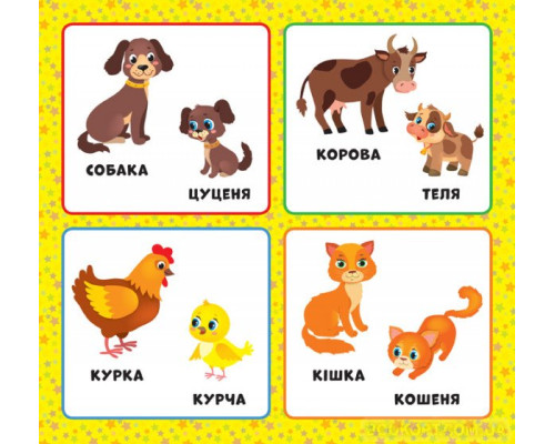 Перша книжка малюка. Хто моя мама?