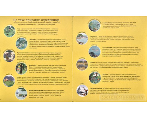 Як допомогти їжачкові та захистити полярного ведмедя