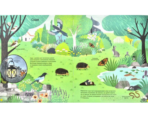 Як допомогти їжачкові та захистити полярного ведмедя