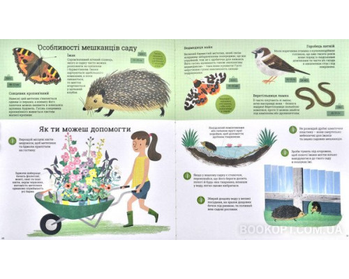 Як допомогти їжачкові та захистити полярного ведмедя