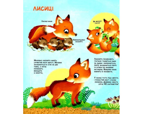 Як живуть крихітні створіння