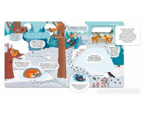 Сезонні зміни у лісі. Я пізнаю світ