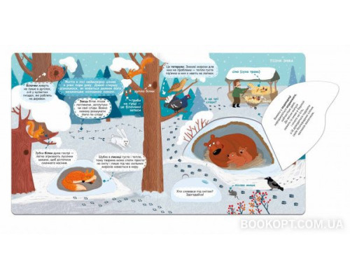 Сезонні зміни у лісі. Я пізнаю світ