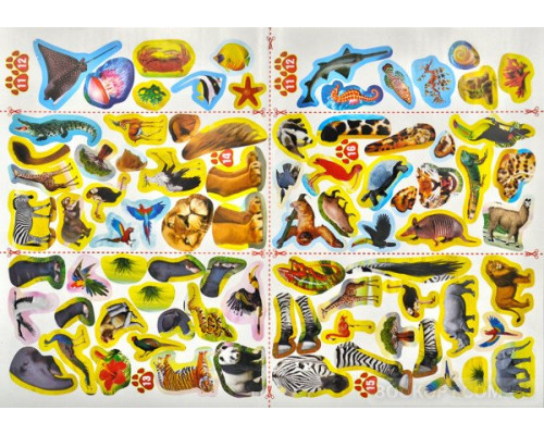 Тварини. Меганаліпки