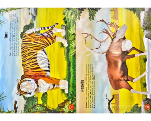 Тварини. Меганаліпки