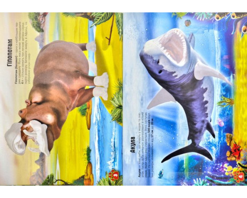 Тварини. Меганаліпки