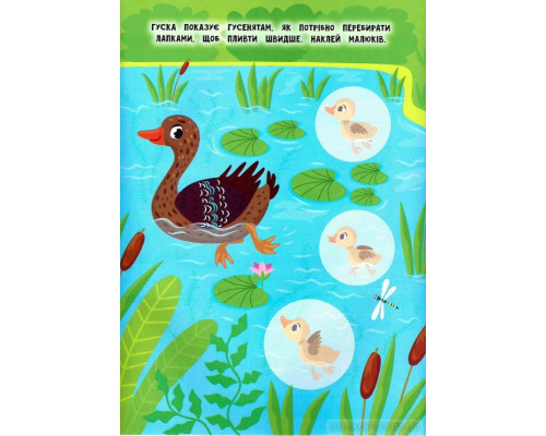 Мами й малюки — Річка й озеро