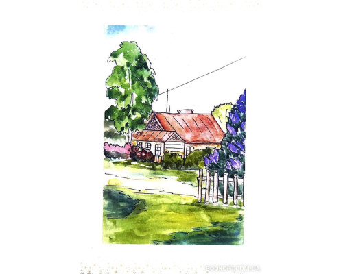 У вікно постукало сонце