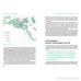 Подолати минуле: глобальна історія України