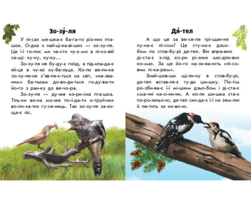 Читаю про Україну: Тварини лісів