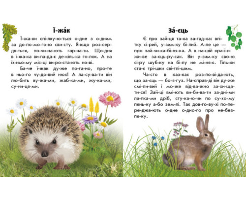 Читаю про Україну: Тварини лісів