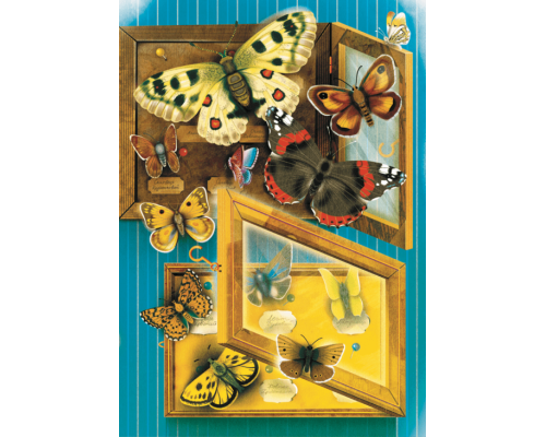 Метелики перетворюються