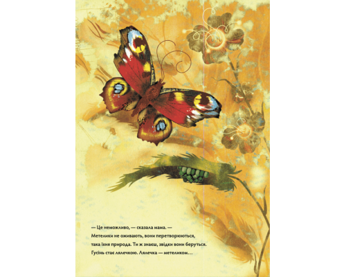 Метелики перетворюються