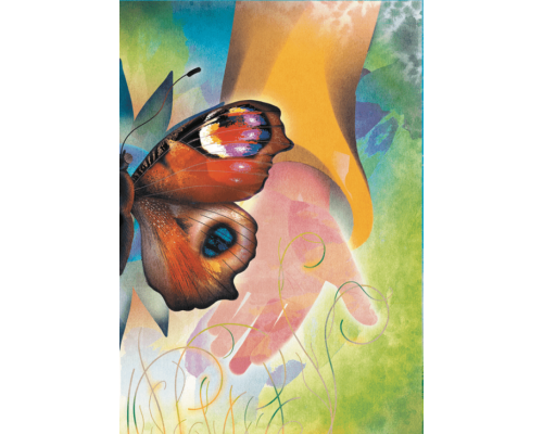 Метелики перетворюються