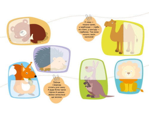 Тварини. Шукаємо половинки