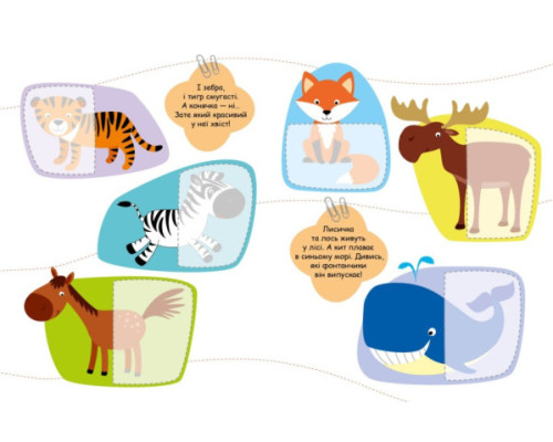 Тварини. Шукаємо половинки