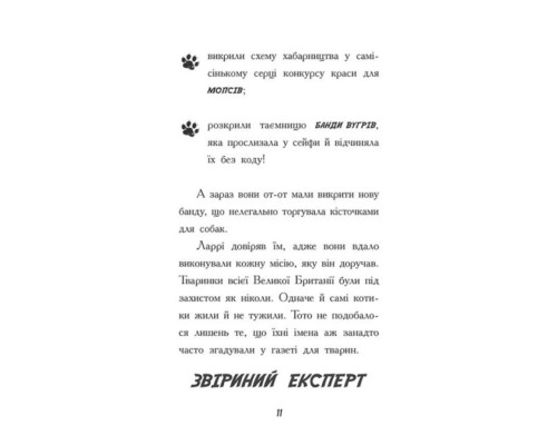 Тото. Кішка - ніндзя і КОТОстрофа суперзірки. Книга 3