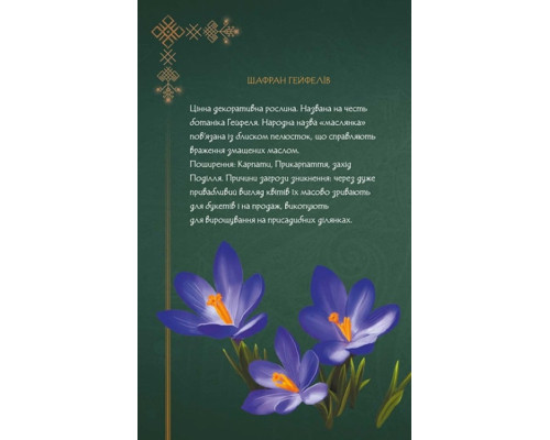 Щоденник Мавки. Зима