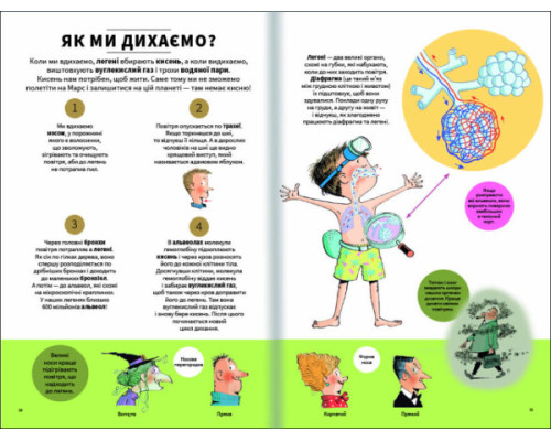 Тіло людини зовні