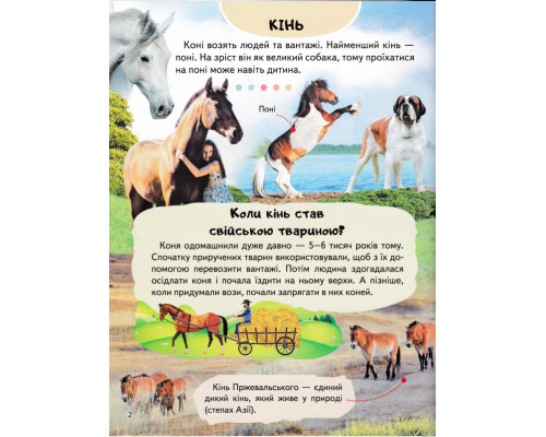 Енциклопедія. Ферма