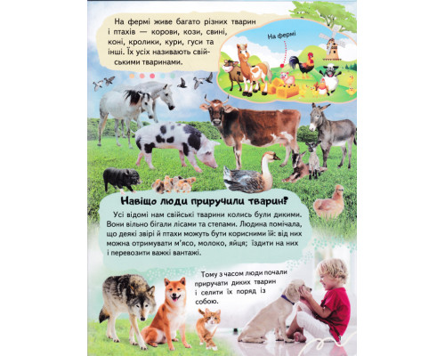 Енциклопедія. Ферма