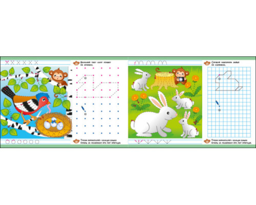 Пиши-витирай. Пригодницькі прописи. Гайда до лісу