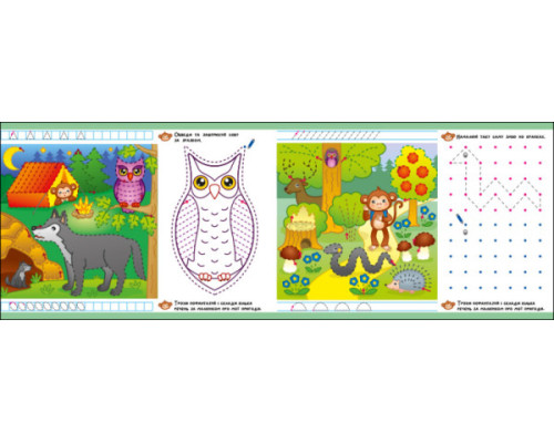 Пиши-витирай. Пригодницькі прописи. Гайда до лісу