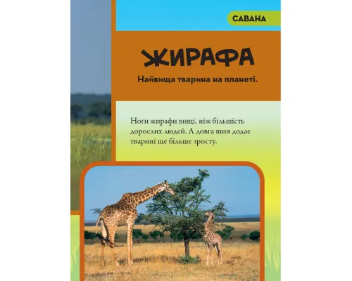 Моя перша енциклопедія. Тварини (National Geographic Kids)