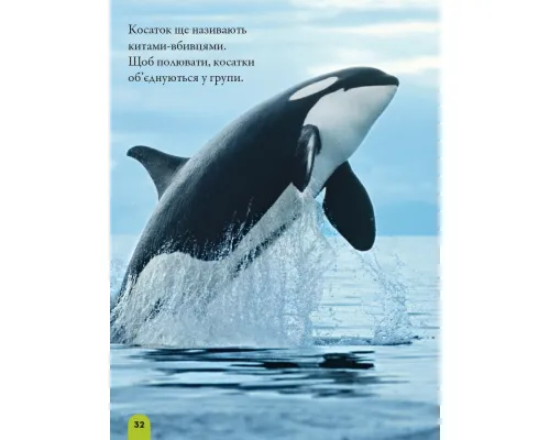 Моя перша енциклопедія. Океани (National Geographic Kids)